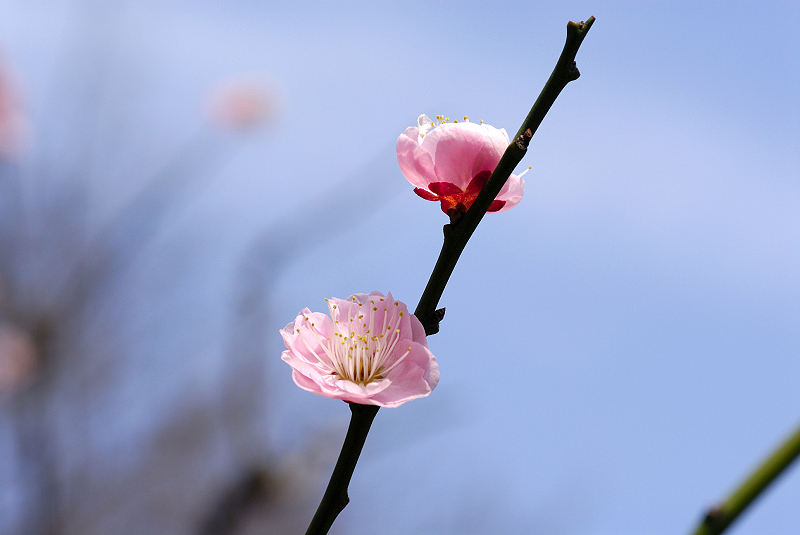 image0121
