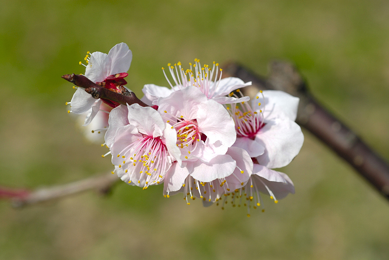 image0122