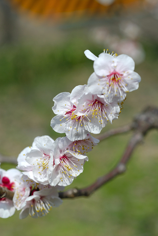 image0128
