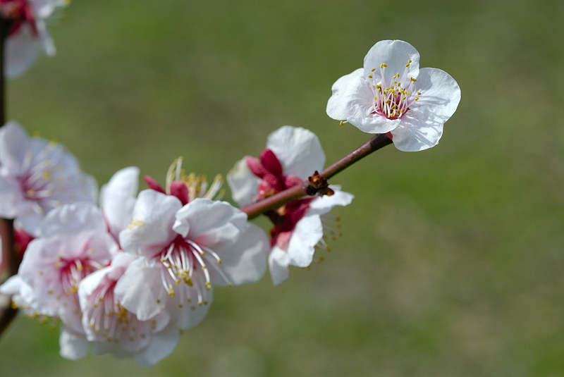 image0137