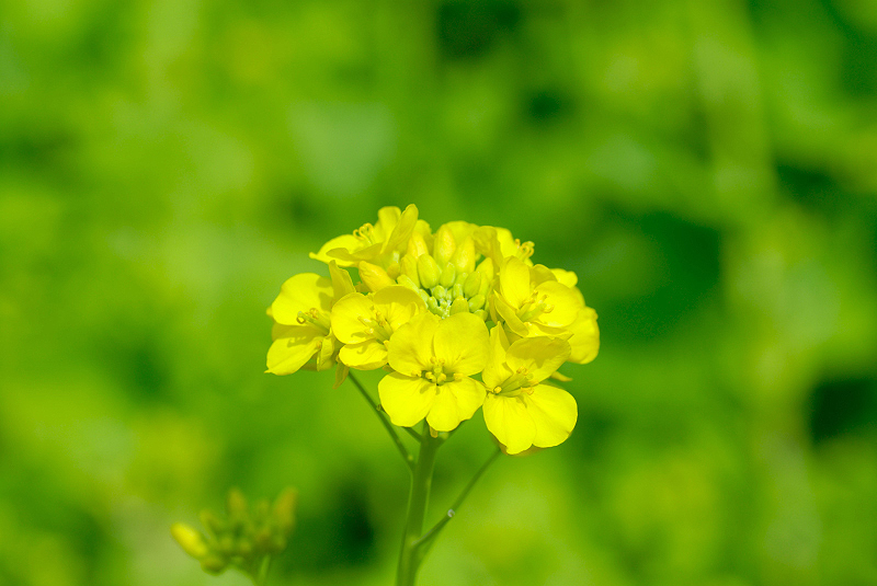 image0143