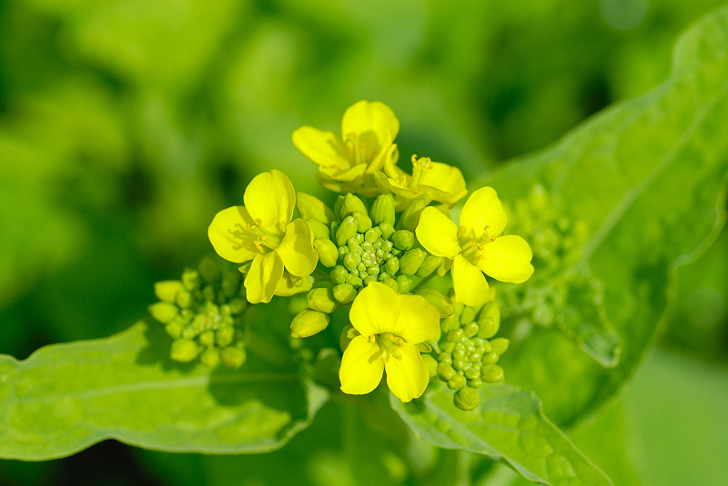 image0147