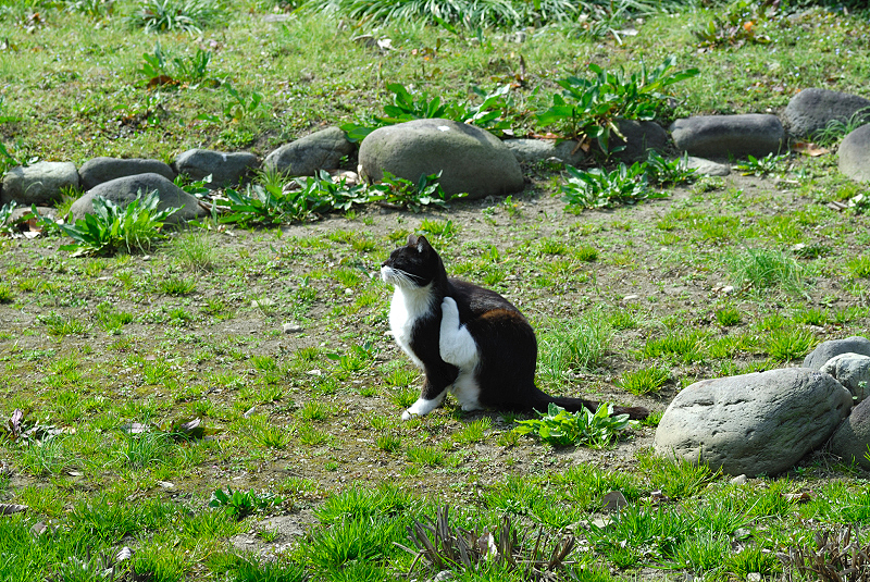 image0157