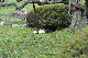 image0192