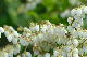 image0194