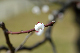 image0198