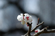 image0199