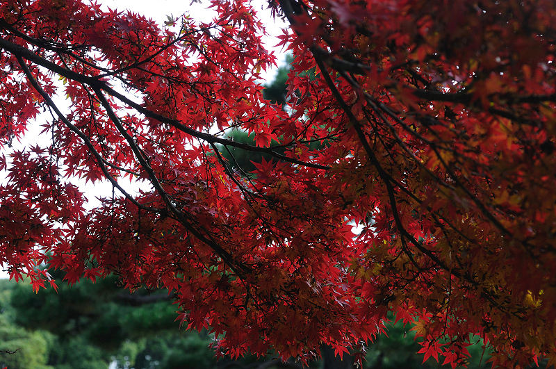 image0098