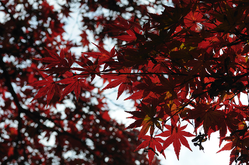 image0116