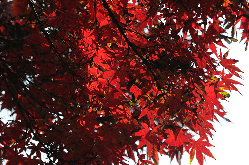 image0119