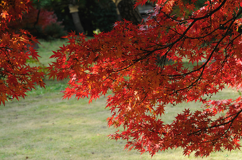 image0126