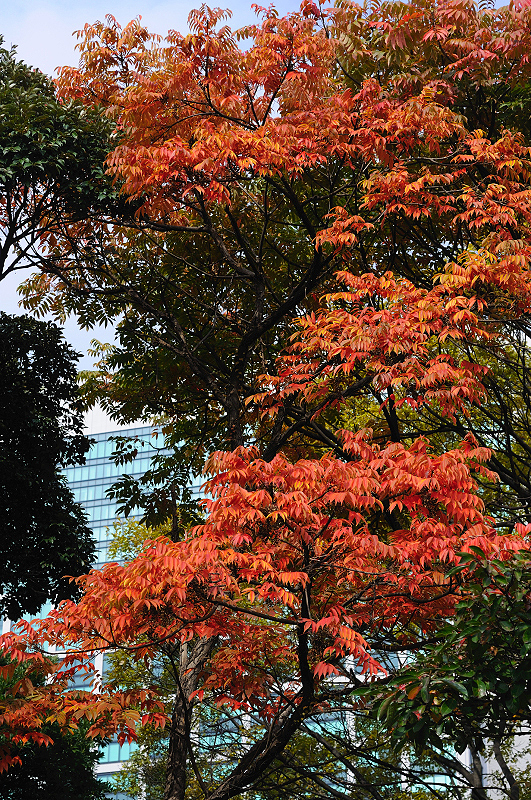 image0129