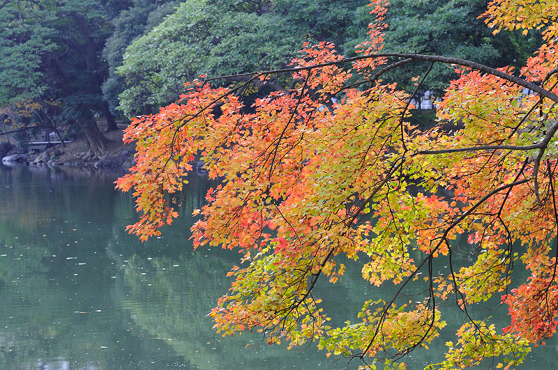 image0131