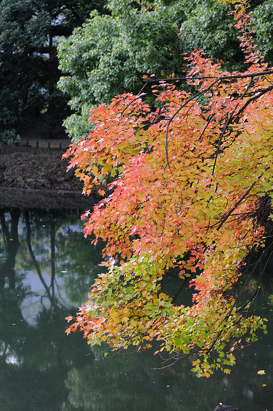 image0132