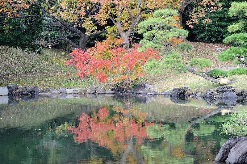 image0134