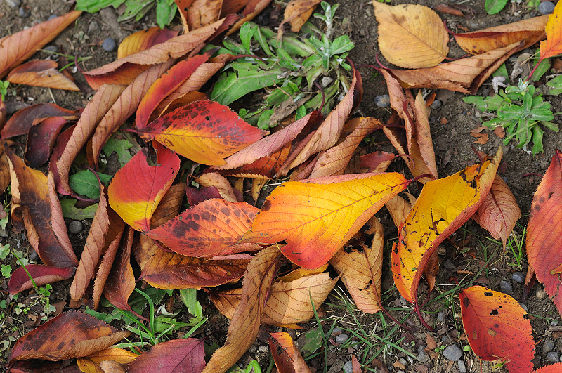 image0136