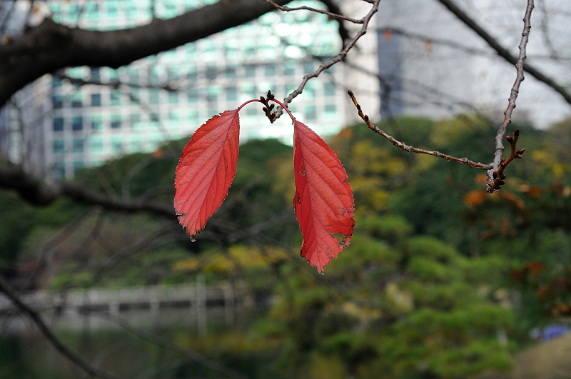 image0140
