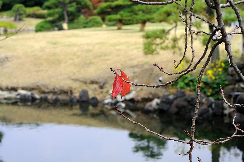 image0141