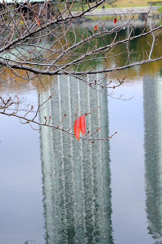 image0144