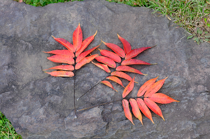 image0148