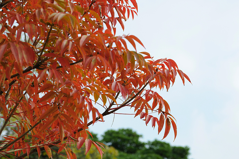 image0152