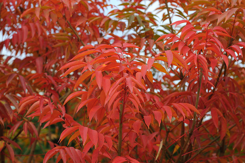 image0153