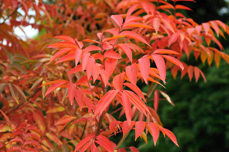 image0154