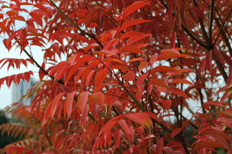 image0158