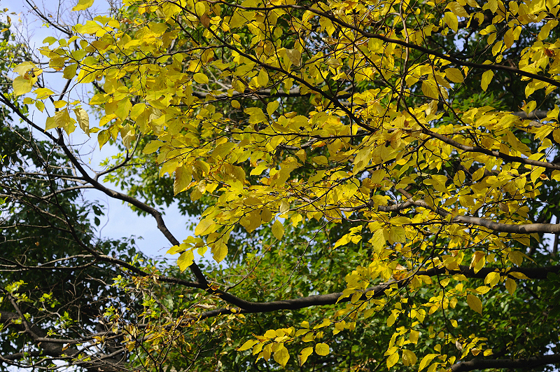 image0165