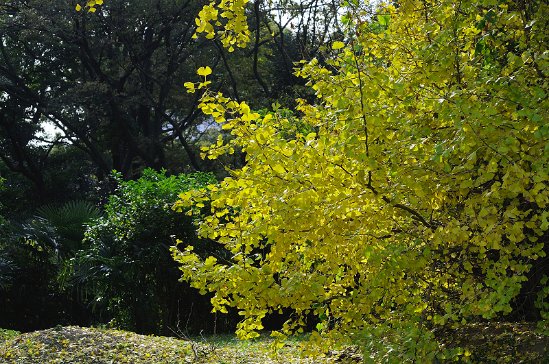 image0173
