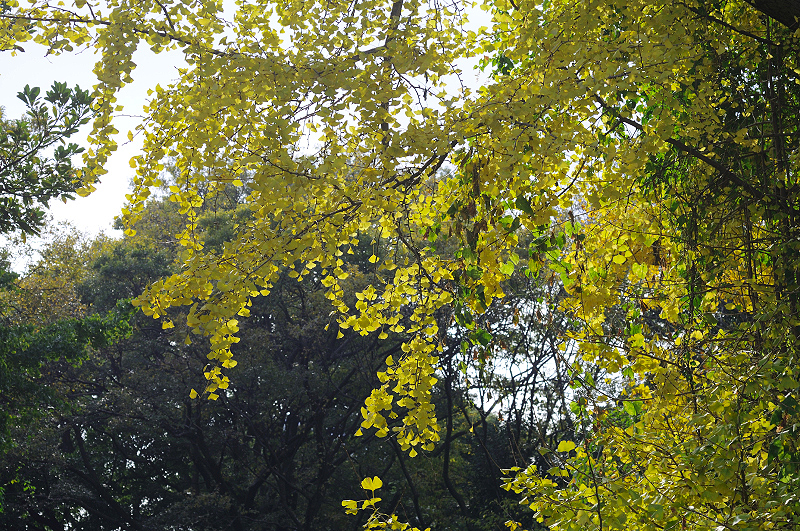 image0174