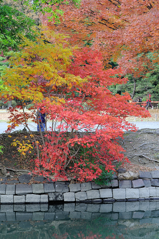 image0177
