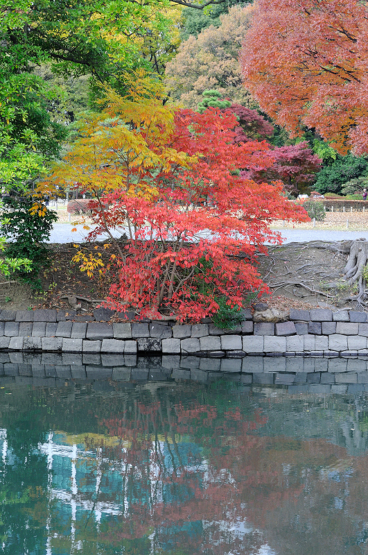 image0178