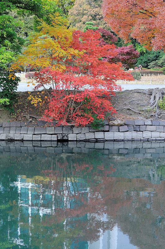 image0179