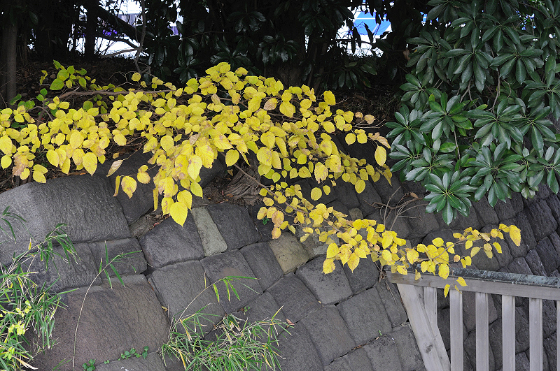 image0180