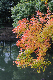 image0132