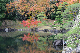 image0133