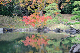image0134