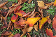 image0136