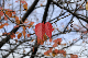 image0139