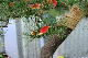 image0142