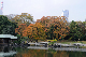 image0147