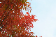 image0149