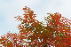 image0151