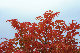 image0156