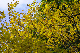 image0162