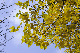 image0163