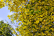 image0164