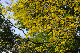 image0165