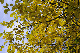 image0166